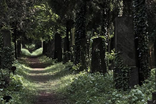 A savaged way in the jewish section of a central viennese cemetery