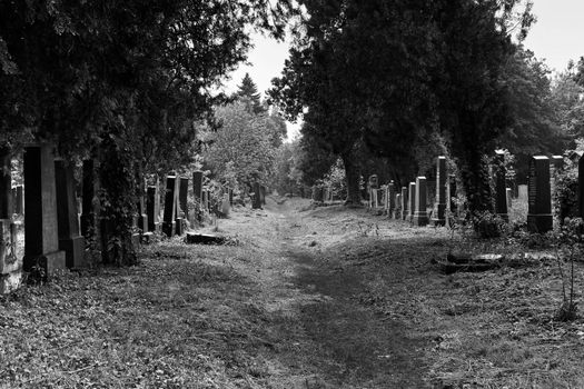 An almost endless seeming section of the jewish part of Vienna's central cemetery symbolizing the lost jewish heritage in Vienna