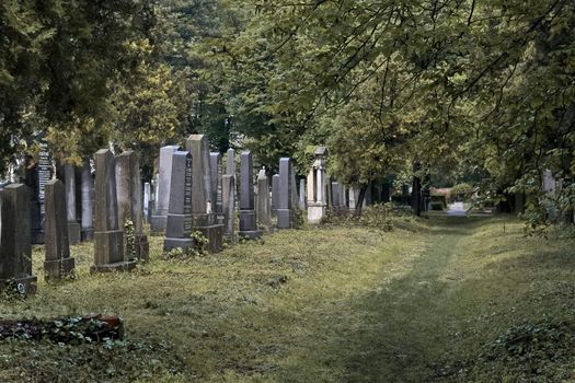 An almost untended section of the jewish part of Vienna's central cemetery symbolizing the lost jewish heritage in Vienna