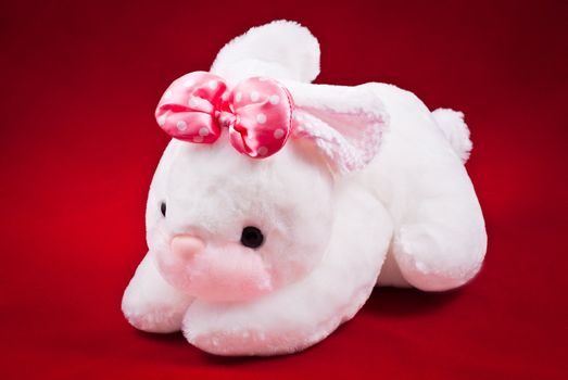 White bunny with pink bow on red background