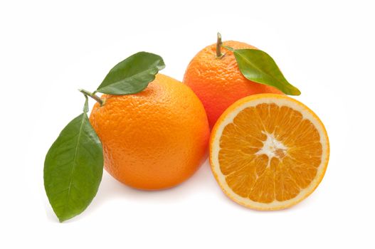 ecological orange on white background