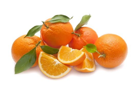 ecological orange on white background