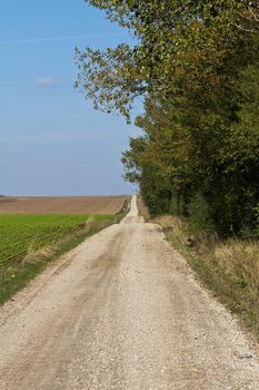 A sidestreet leading over the horizon in an early autumn setting outside of Vienna, Austria