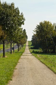 A sidestreet leading over the horizon in an early autumn setting outside of Vienna, Austria