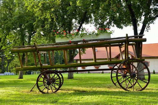 This photo present old wooden wagon in the park decoration.