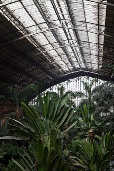 A botanical garden in Madrid's main station