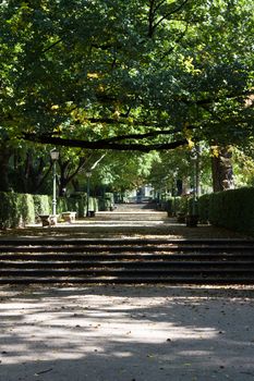 An alley in a park in the center of Madrid