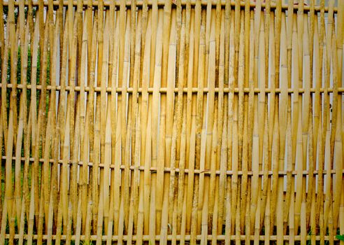 old, grunge bamboo
 wall used as background







old, grunge wooden wall used as background