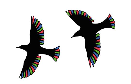 Beautiful birds with transparent wings in the RGB-colors.