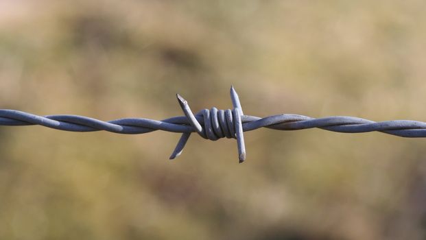 Isolated barbed wire with blurred background.