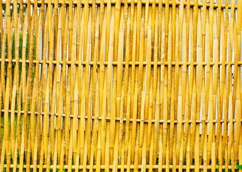 old, grunge bamboo wall used as background