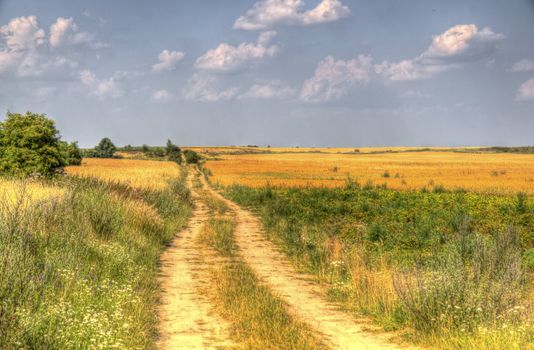 The photo shows the way that leads through cultivated fields HDR.