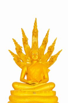 Beautiful Buddha image in Thailand a white background
