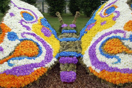 Flower butterfly