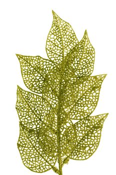 Christmas decorative green leaves isolated on white background.