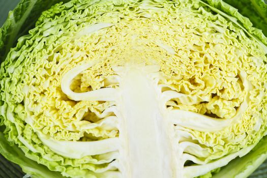 Close up of half sliced green cabbage head