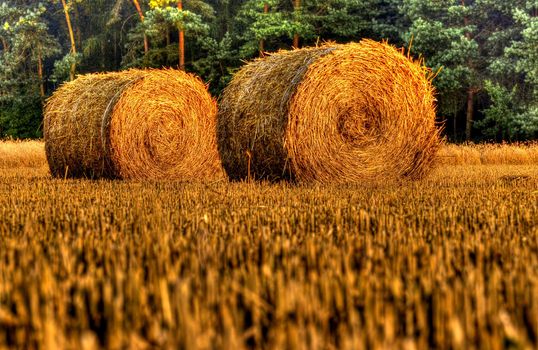 This photo present bales of straw after harvest grain at sunset HDR.
