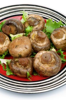 Roasted Big Mushrooms Champignon with Greens on Red Plate cross section isolated on white background