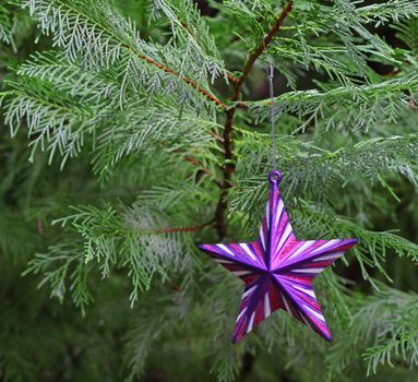 A Christmas tree ornament hanging from a Christmas tree with room for your text.