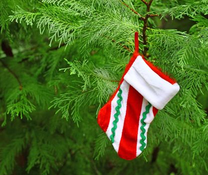 A Christmas Stocking hanging from a Christmas tree with room for your text.