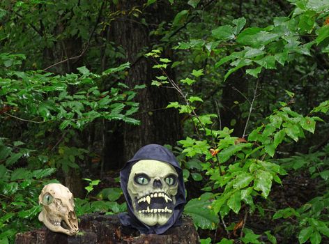 The Grim Reapers head arising from a stump in the woods along side of a Deer Skull with room for your text.