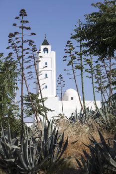 Minaret of Sidi Bou Said Mosque in local traditional colours. Photo taken in suburb of Tunis - capital city of Tunisia