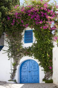Blue doors, window and white wall of traditional building in Sidi Bou Said, Tunisia