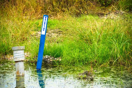 Blue waterline sign sticking out of a lush pond.