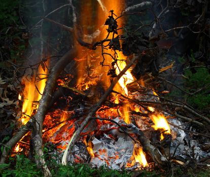 The start of a small Bonfire outside at night burning bright and hot with tall flames
