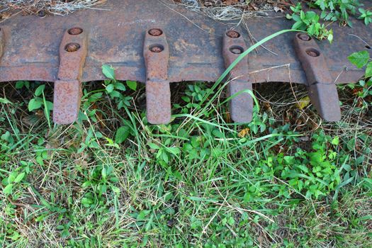 The old rusted teeth on a bucket from an old front end loader left in the weeds and grown over