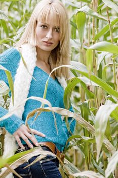 Young beauty blond woman in a cornfield