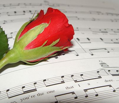 red rose on music book