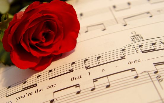 red rose on music book