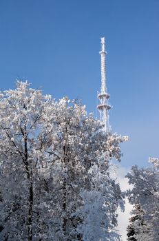 winter landscape with television antenna and trees