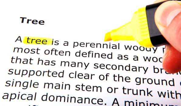 Text highlighted in yellow with felt tip pen