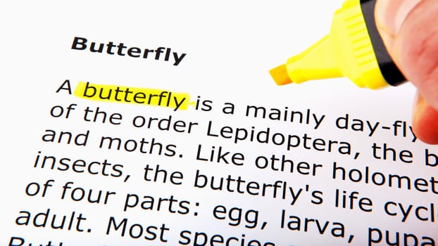 Text highlighted in yellow with felt tip pen