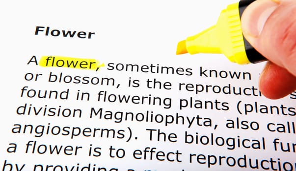 Text highlighted in yellow with felt tip pen