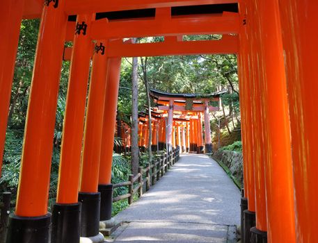 Fushimi Inari Taisha Shrine in Kyoto, Japan, famous for its many bright orange torii gates