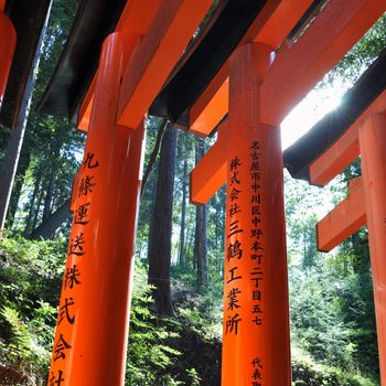 The Tori gates at Fushimi Inari Shrine in Kyoto, Japan. 