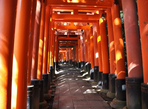 Fushimi Inari Taisha Shrine in Kyoto, Japan, famous for its many bright orange torii gates