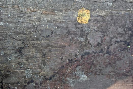 Grunge cement wall: can be used as background