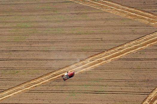 Combine harvesting wheat