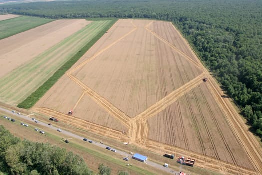 Golden Wheat field