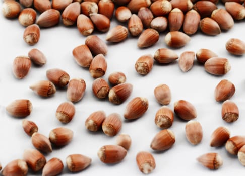 Hazelnut close up isolated on white background