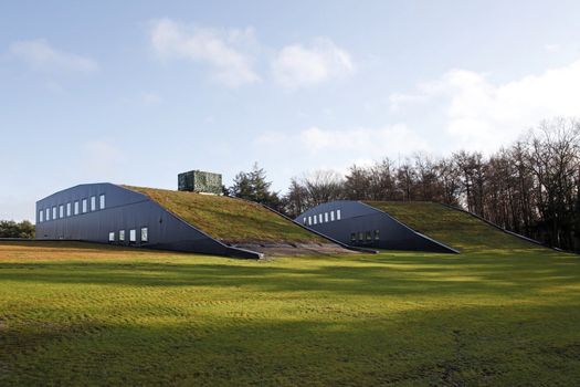 Two green roofs in The Netherlands