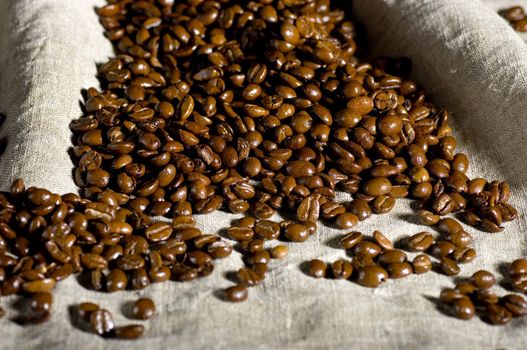 Coffee in grains is used for preparation of a popular and fragrant drink