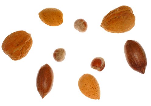 Several different nuts, isolated on background