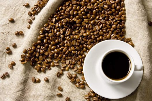 Coffee in grains is used for preparation of a popular and fragrant drink