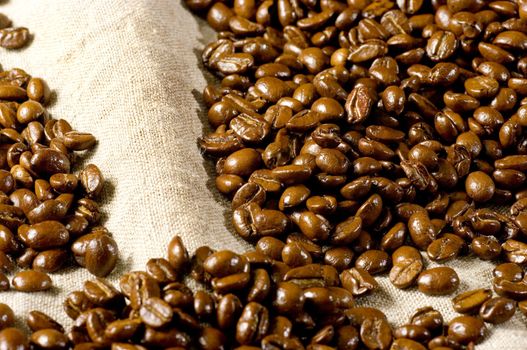 Coffee in grains is used for preparation of a popular and fragrant drink