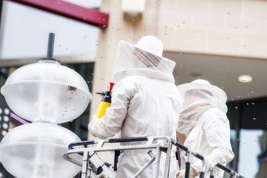 Two exterminator spraying insecticide to control a bee population in the city